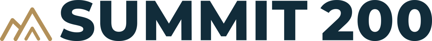 SUMMIT 200 sign artwork